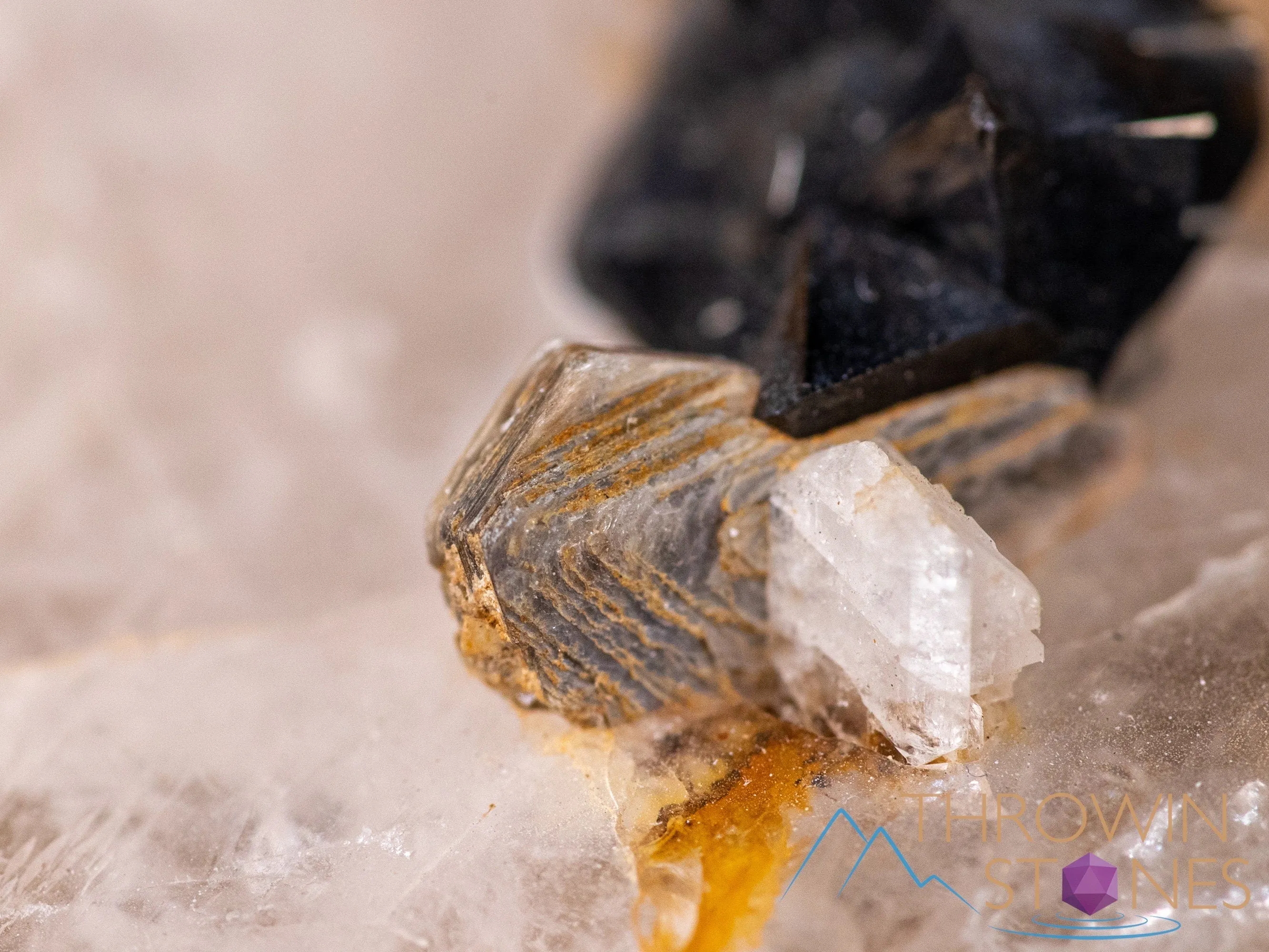 CASSITERITE on QUARTZ Raw Crystal Cluster - Housewarming Gift, Home Decor, Raw Crystals and Stones, 40662