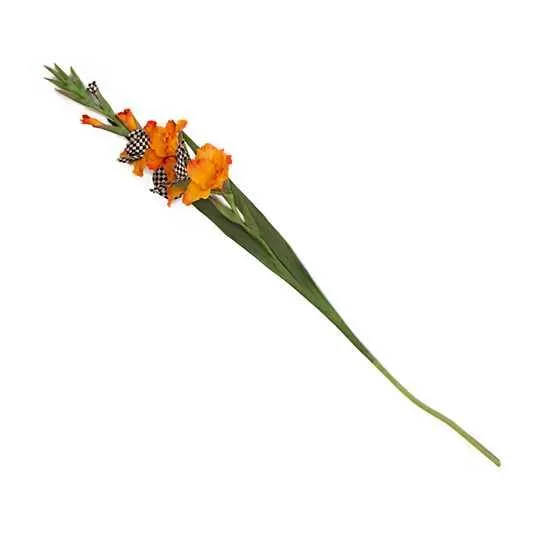 Courtly Check Gladiolus - Orange (Mackenzie Childs)