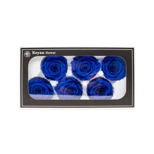 FOREVER ROSES 6PCS BLUE 6CM