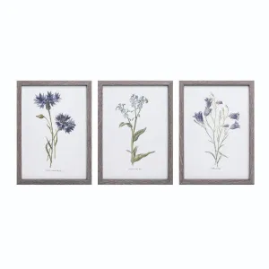 Framed Blue Flower Prints - 3 Styles