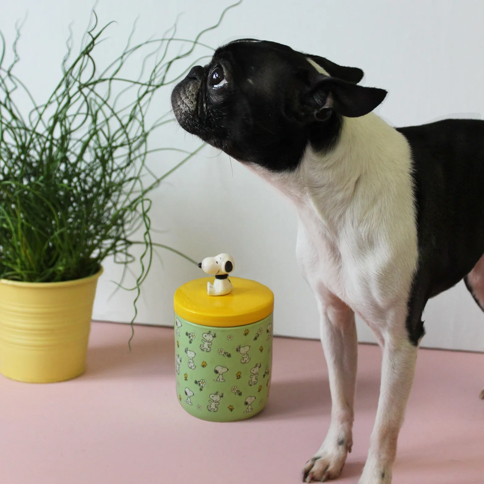 Peanuts Dog Treat Jar