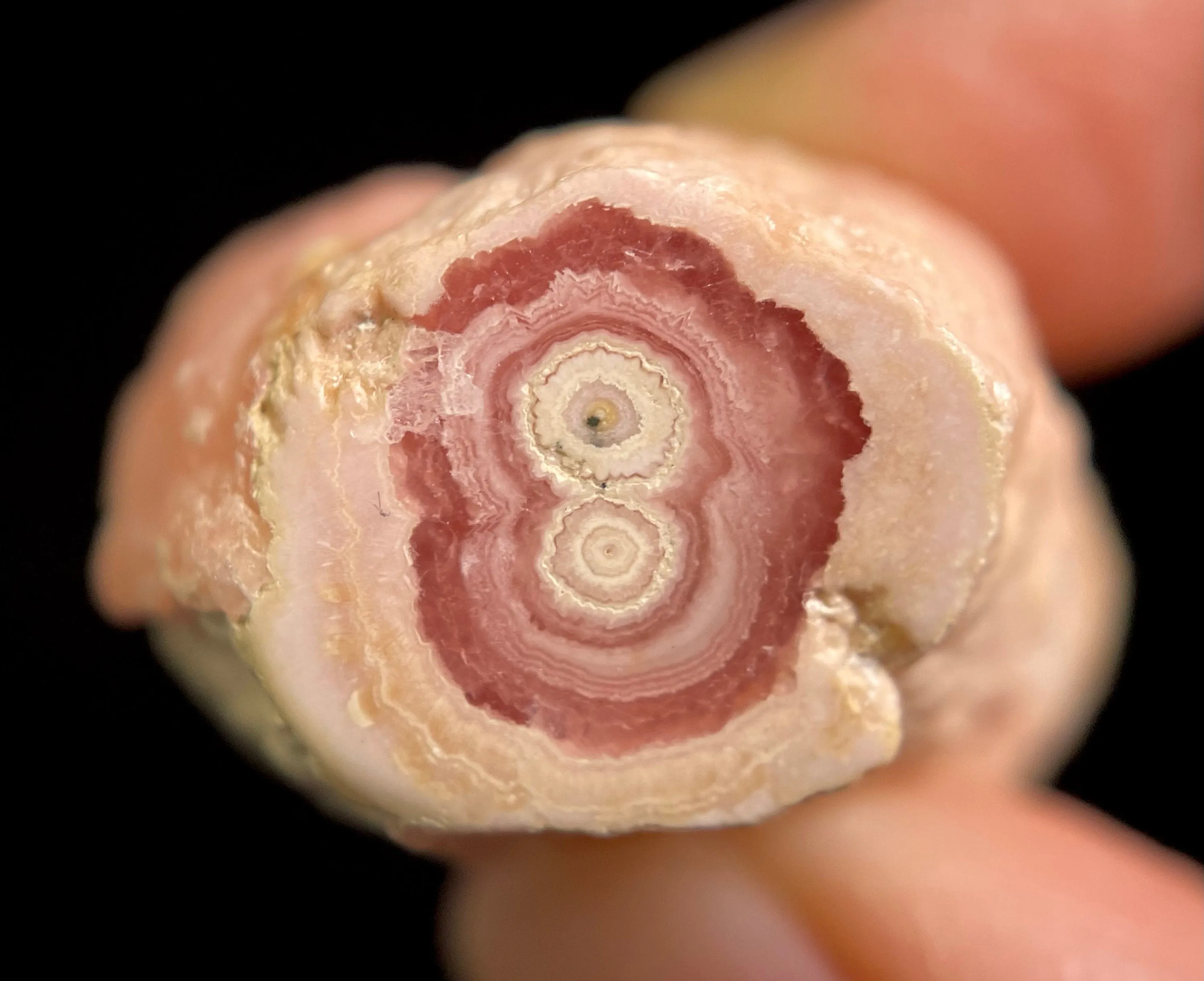 RHODOCHROSITE Crystal Stalactite Slice - Rhodochrosite Specimen, Raw Crystals and Stones, 49585