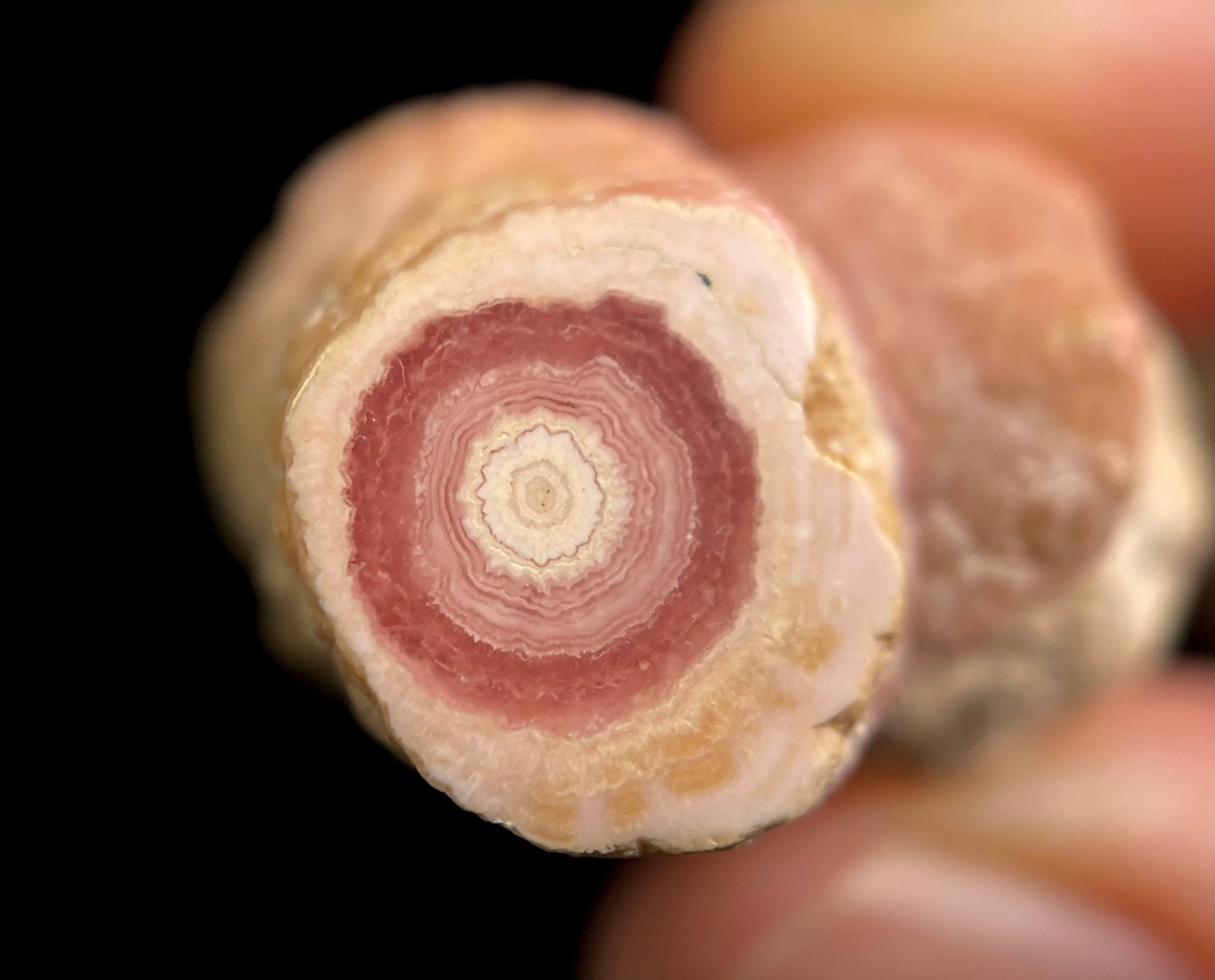 RHODOCHROSITE Crystal Stalactite Slice - Rhodochrosite Specimen, Raw Crystals and Stones, 49585