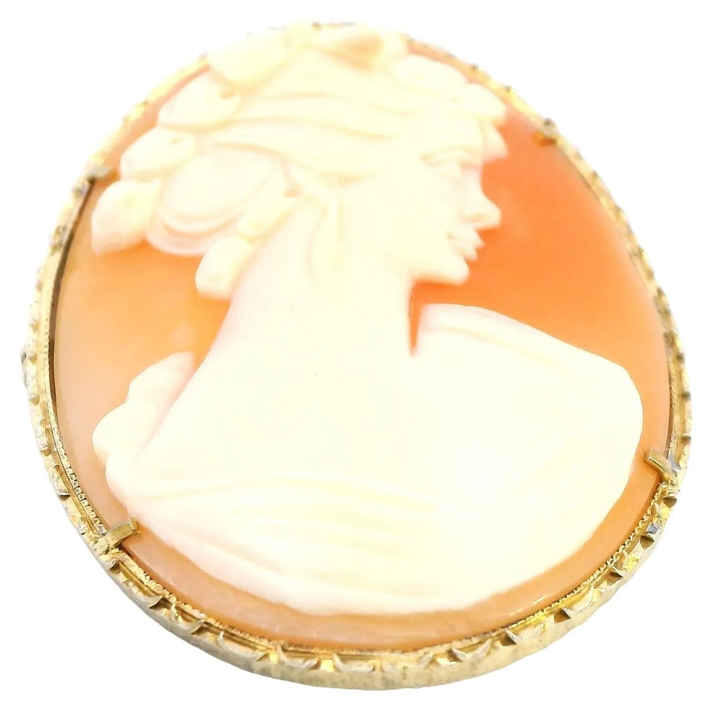 Timeless Elegance: Vintage Silver Cameo Brooch - A Piece of History