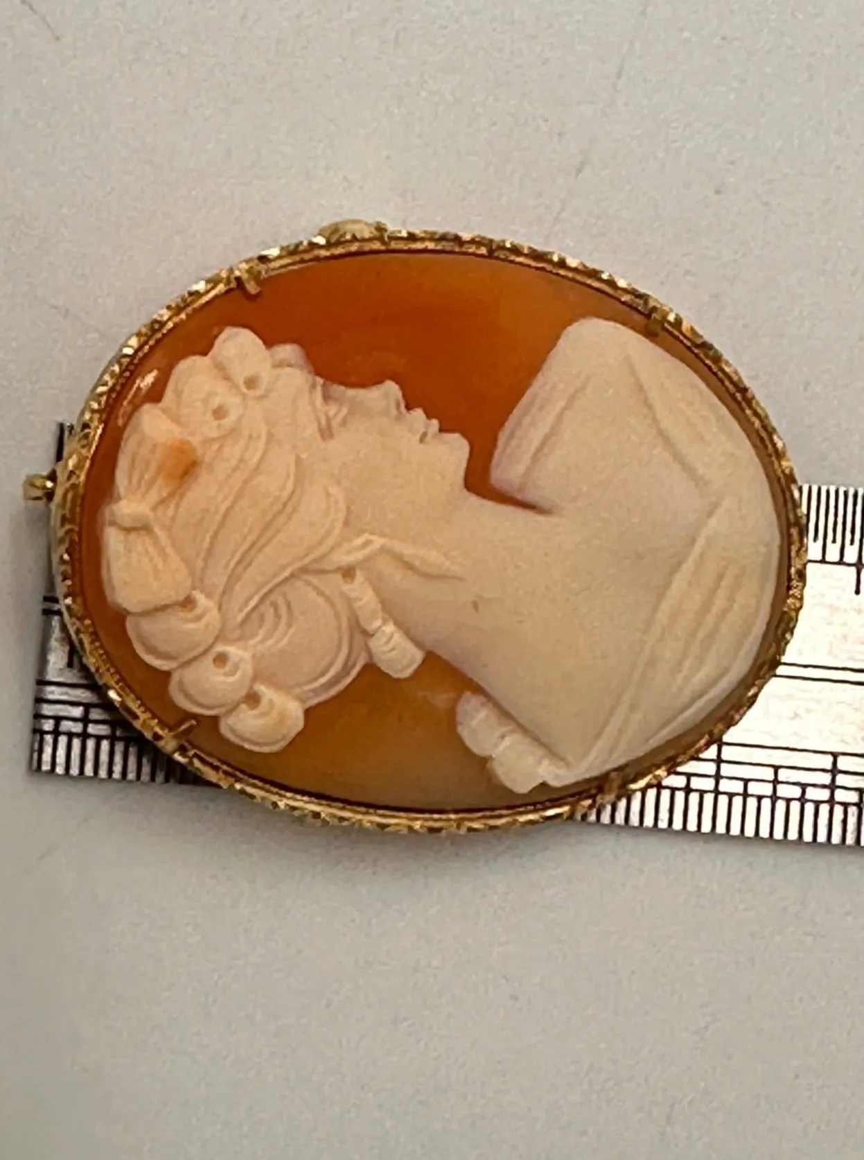 Timeless Elegance: Vintage Silver Cameo Brooch - A Piece of History