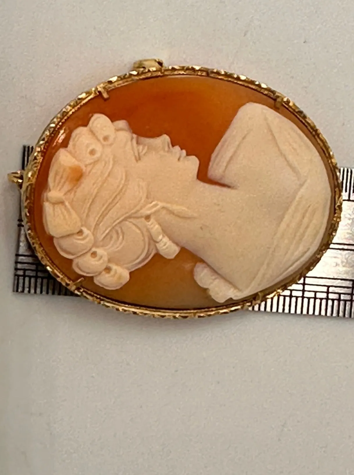 Timeless Elegance: Vintage Silver Cameo Brooch - A Piece of History